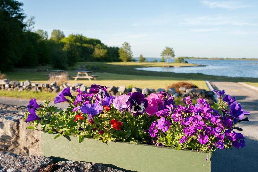 The Waterfront House Country Home Oughterard Esterno foto